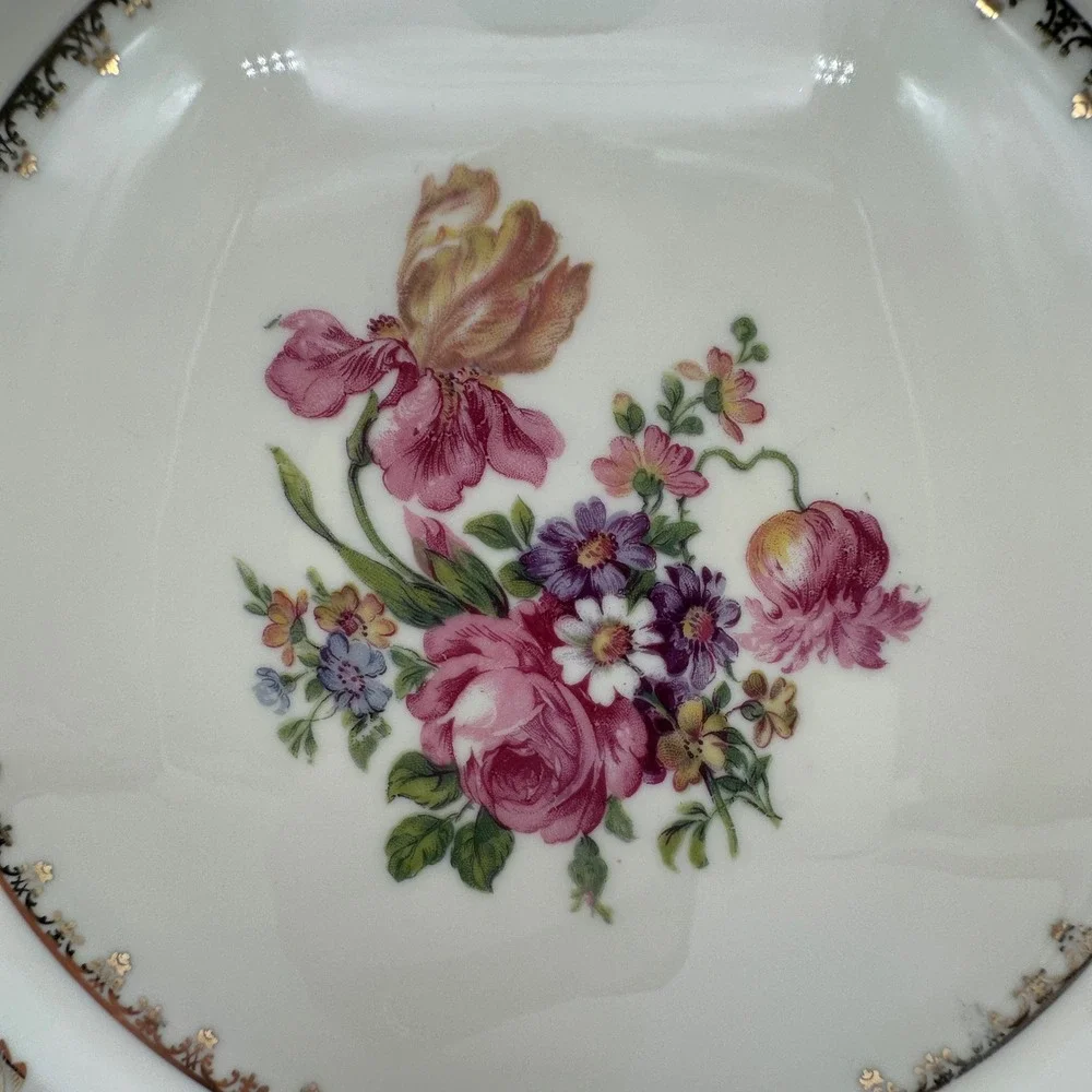 Baronet China Caprice Dinner Plate 10.75